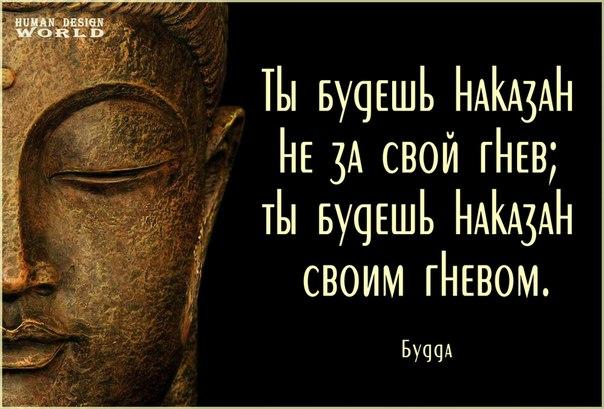 Не делайте из Мышки злого Волка