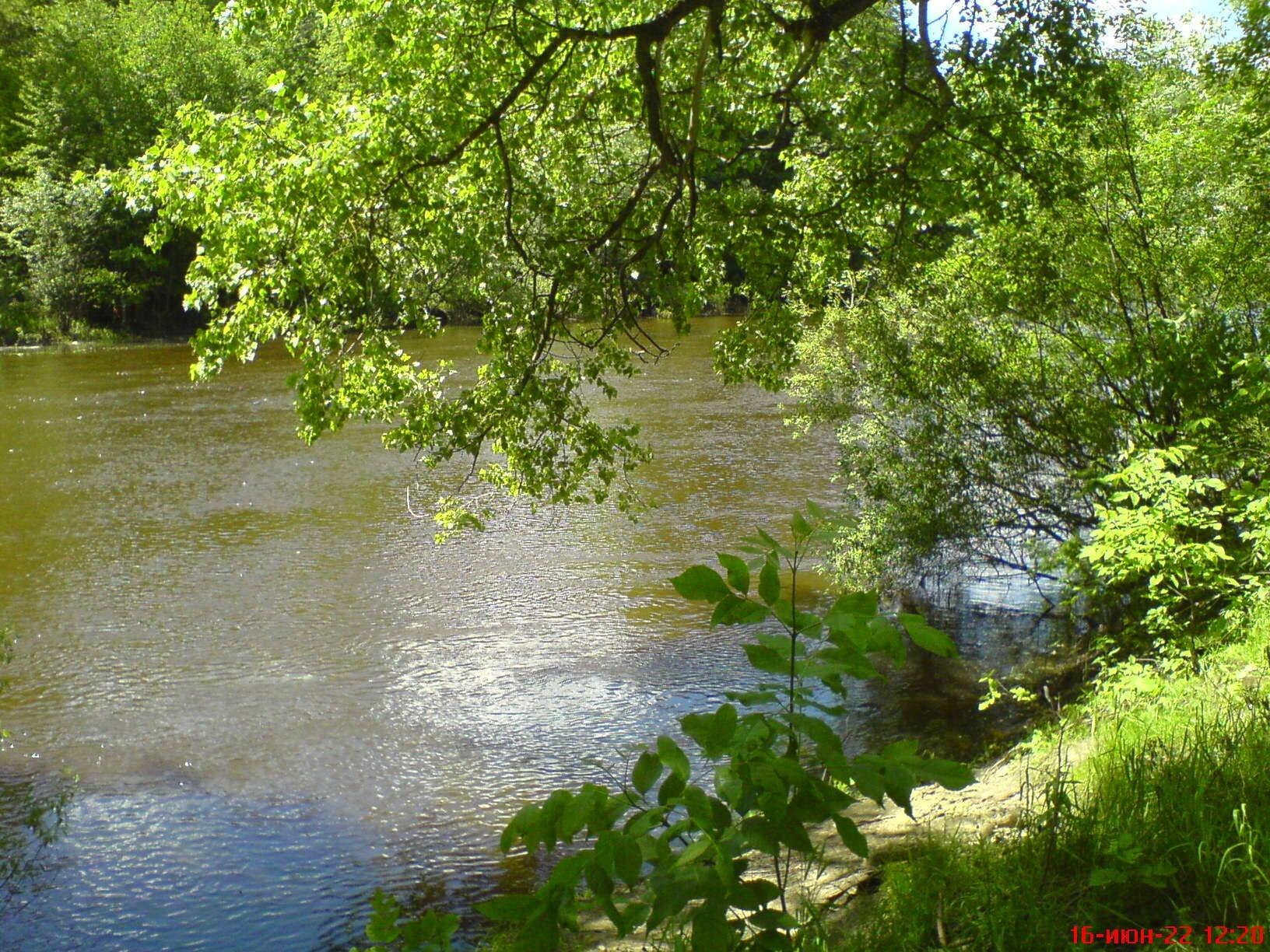 Биографические листки (продолжение)