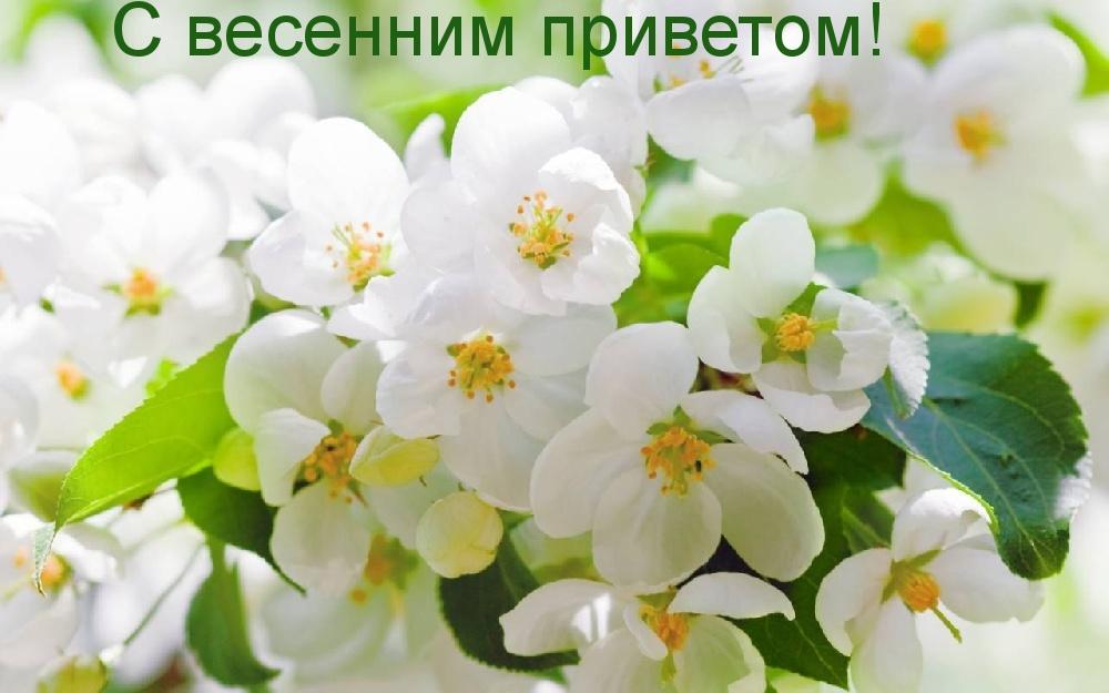 Весенняя печать