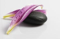 Два лепестка