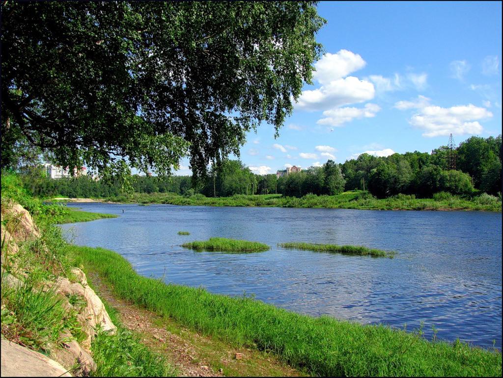 Река луга и человек. Река Луга Кингисепп. Река Луга Новгородская область. Река Луга в Ленинградской области. Рожайка река Луга.