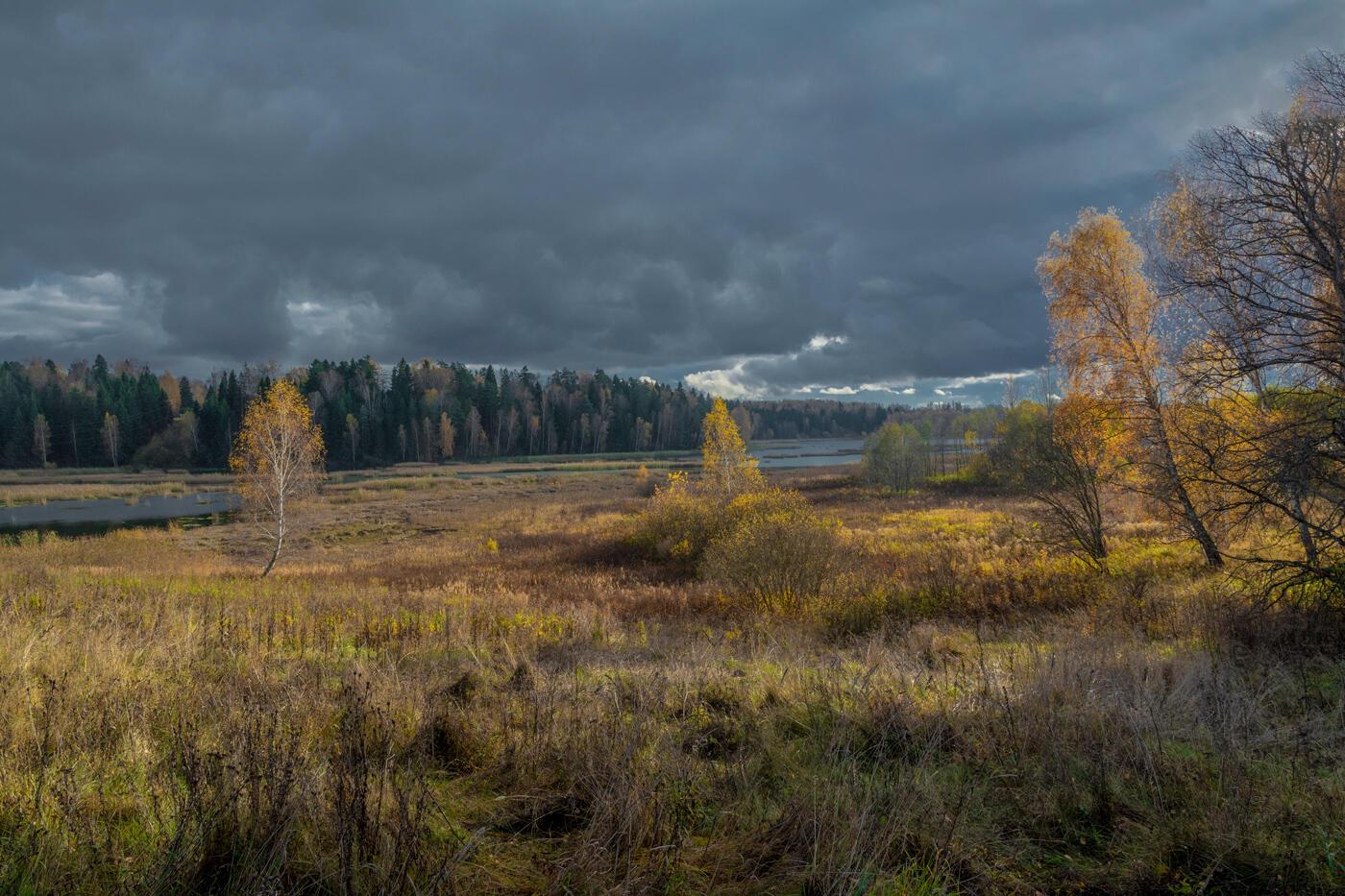 ДНИ ПОСЛЕДНИЕ...