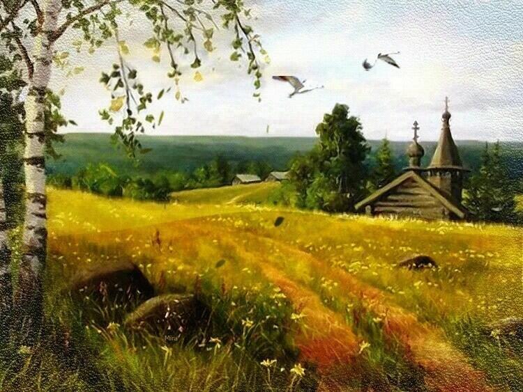 Берёзовый ситец