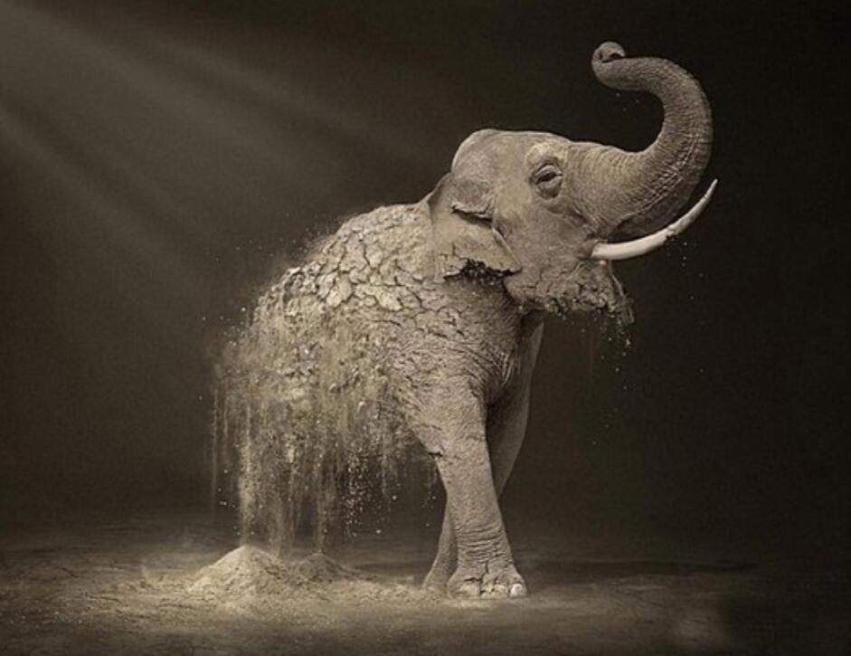 Все проходит 