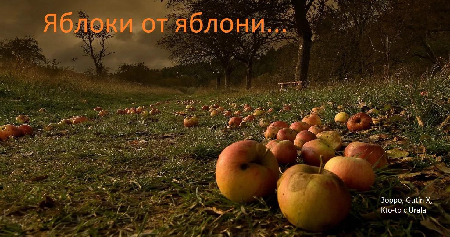 Яблоко от яблони... (Зорро, Gutin X, Kto-to с Urala)