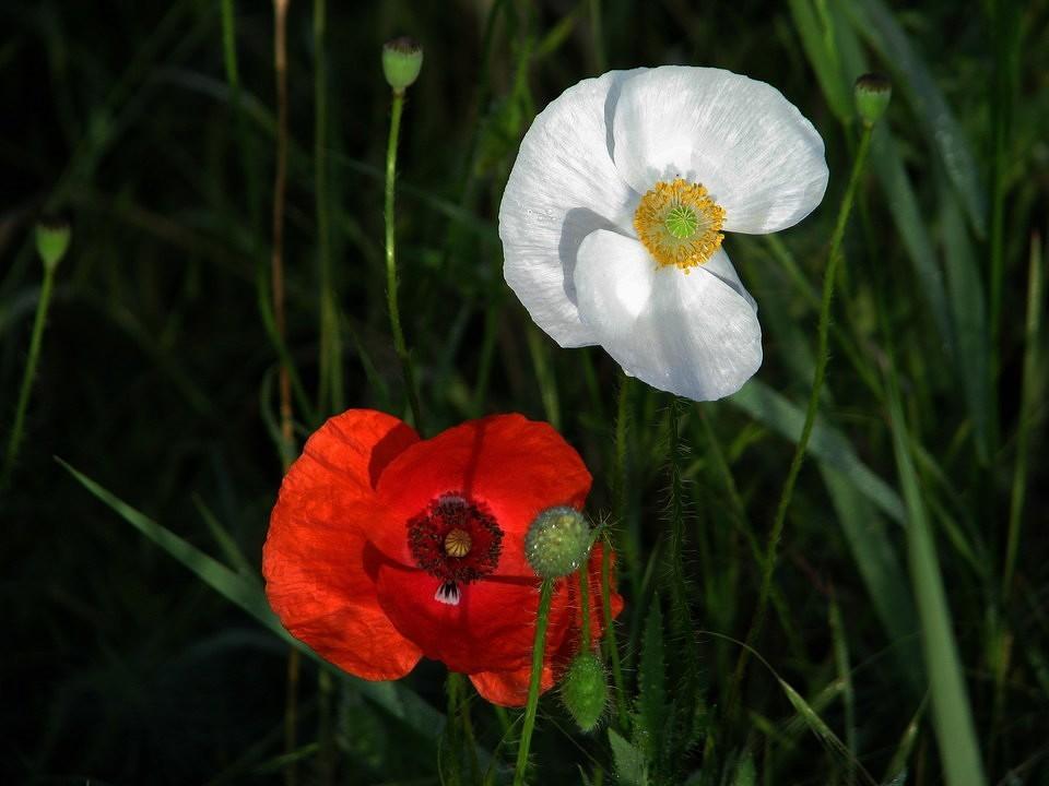 А мы повстречались...