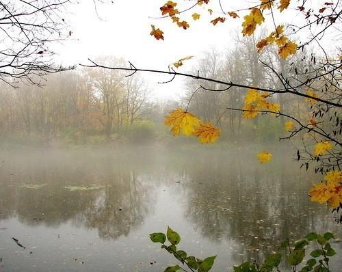 Прощай сентябрь