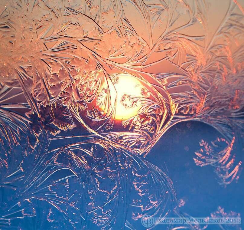 Мороз и солнце 