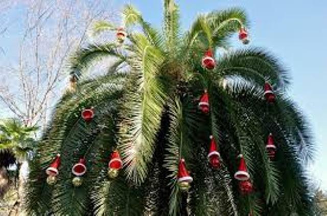 ЮЖНАЯ НОВОГОДНЯЯ НОЧЬ!