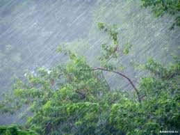 "Врешь, не возьмешь!!!"