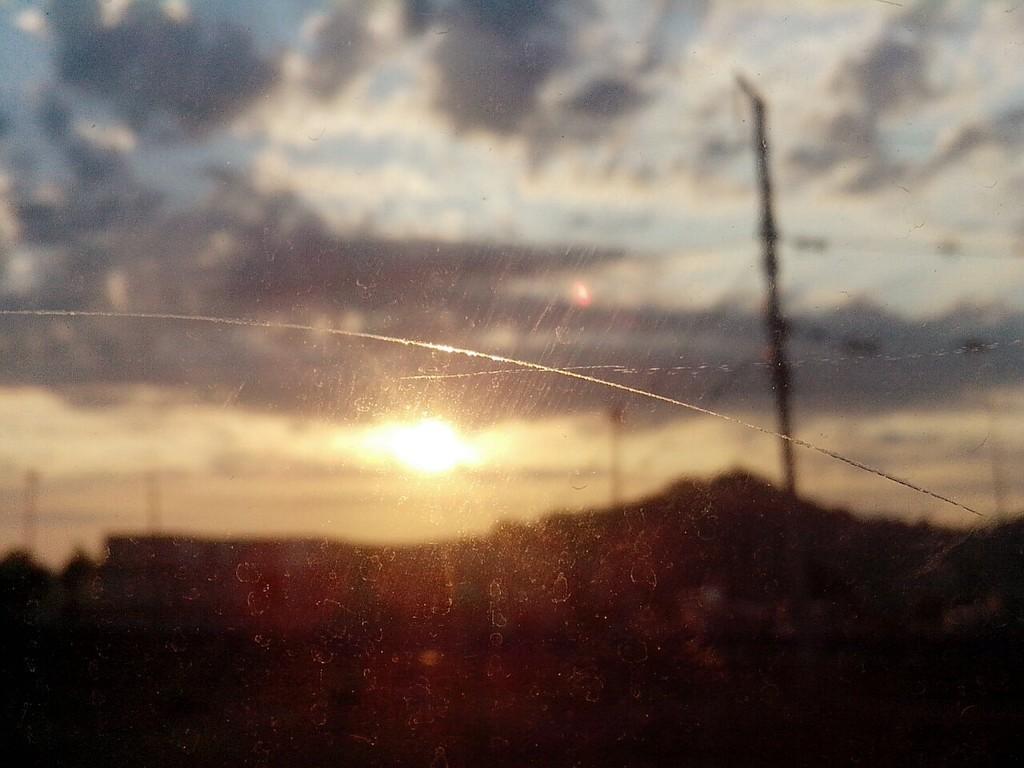 Солнечным светом