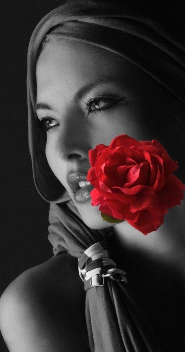 Баллада о брошенной розе