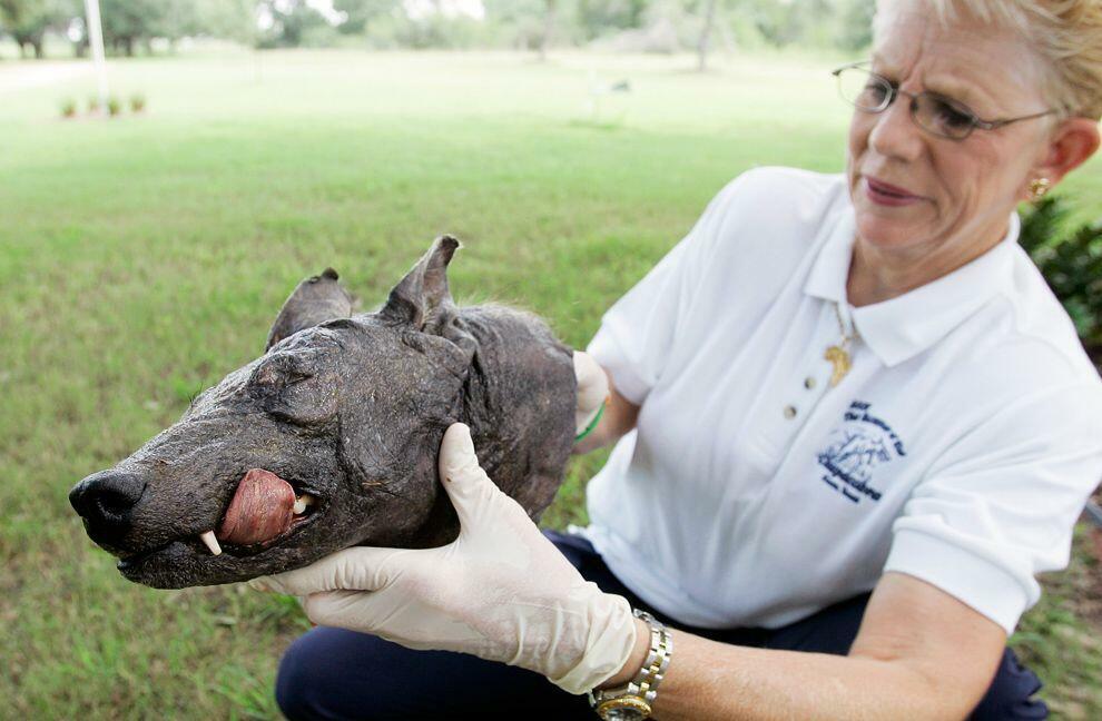 Пообщались...
