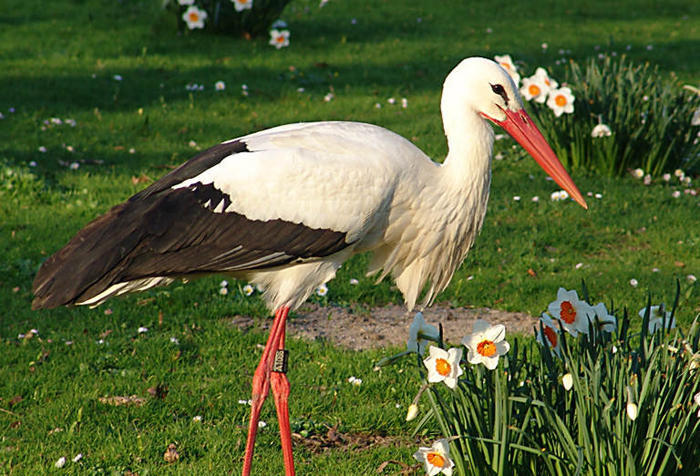 ВСЕ ПРОСТО.