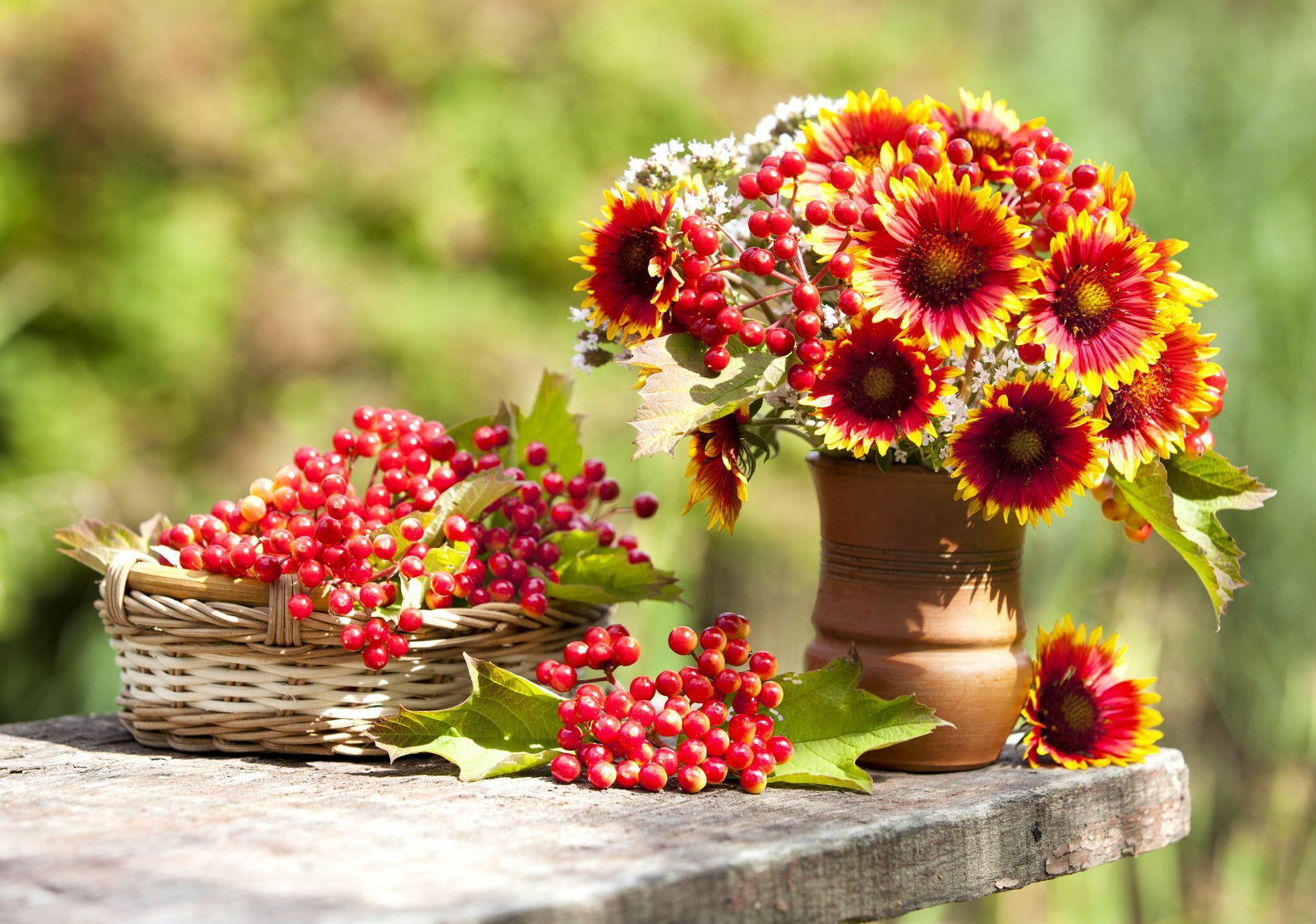 Лето распрощалось, но горят лучи