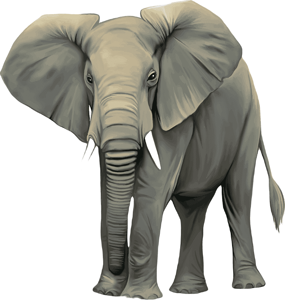 Слон [Африка]