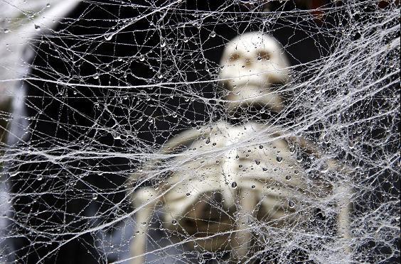 Паутина судьбы