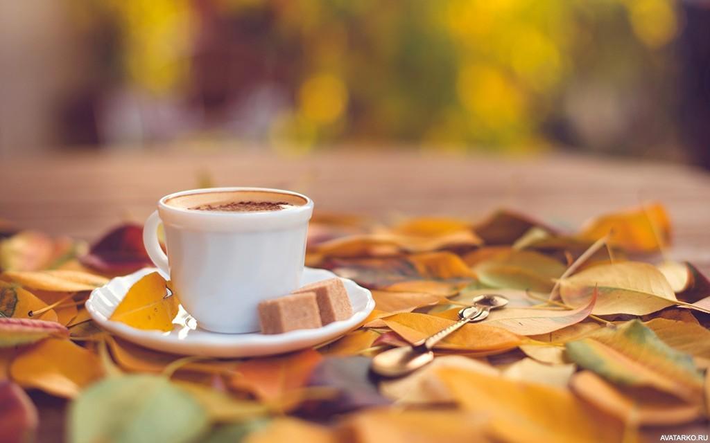 Осенний завтрак