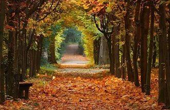 "Осенние листья".