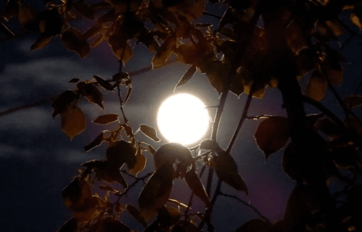 Грустный вечер