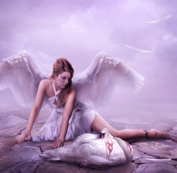 Я раненая птица