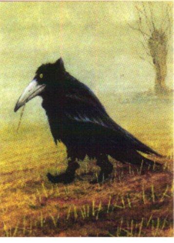 Путь к мечте.