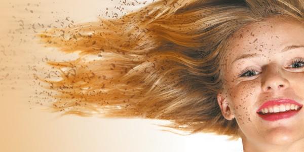 лучше я  построю дачу