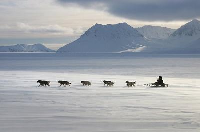 Снежные километры