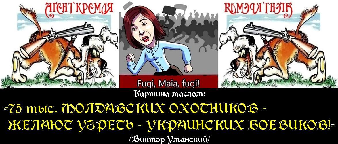 Комикс-афоризмы  на тему: =Идёт охота на волков!=