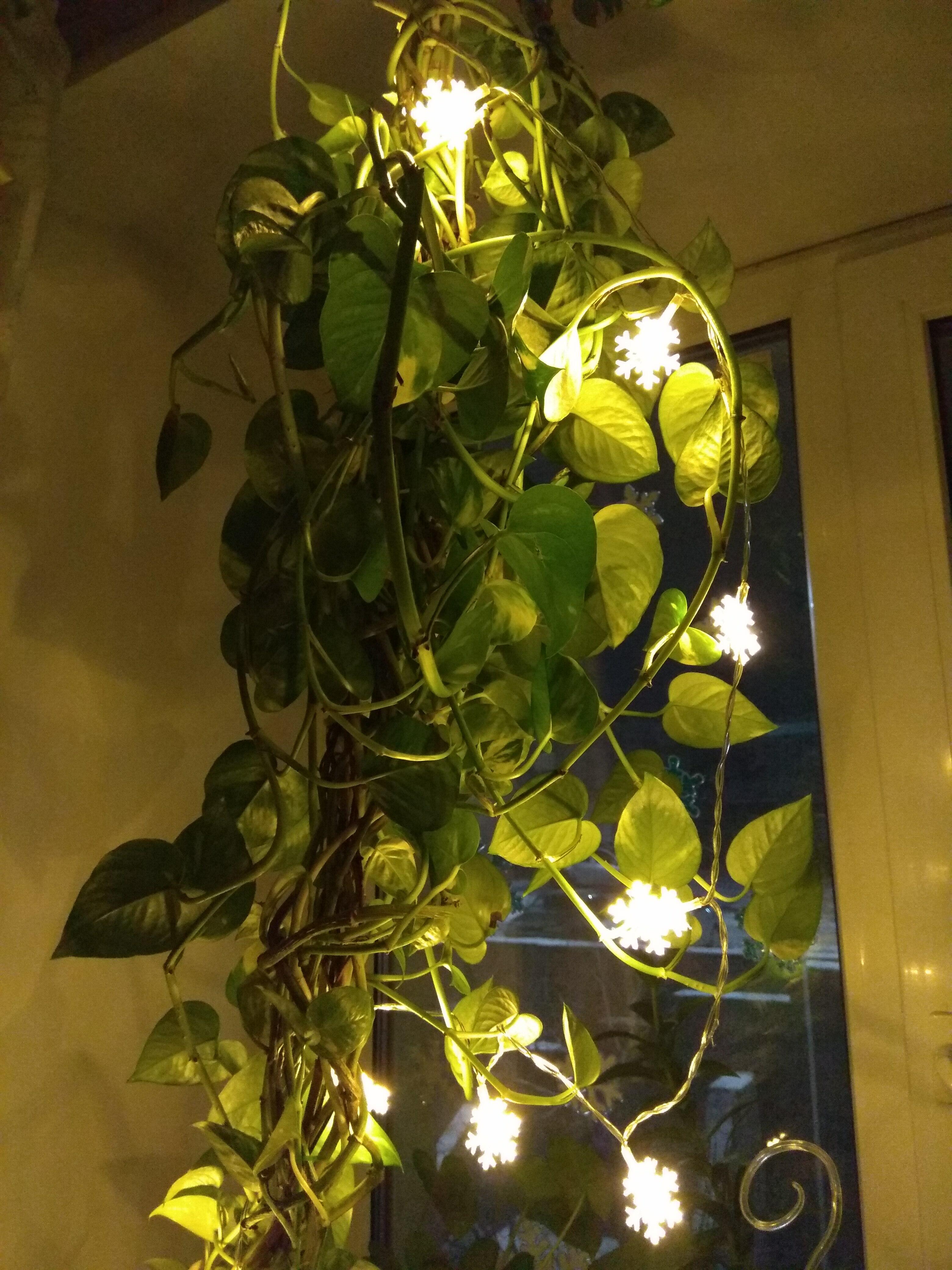 Борщ с "русалками" или о геометрии и запонках. Цикл рассказов "Сюжеты памяти".