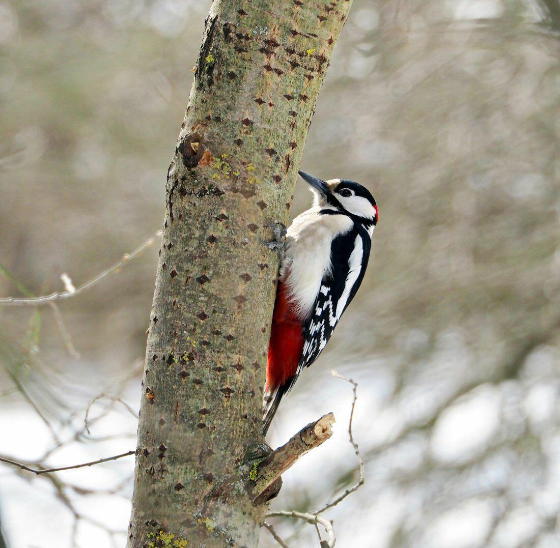 Март на исходе