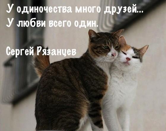 У одиночества много друзей.