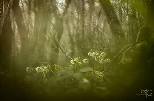 Во мне уже не первый год