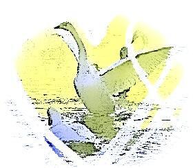 Волшебный круг