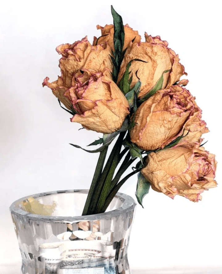 Не дари цветов букеты