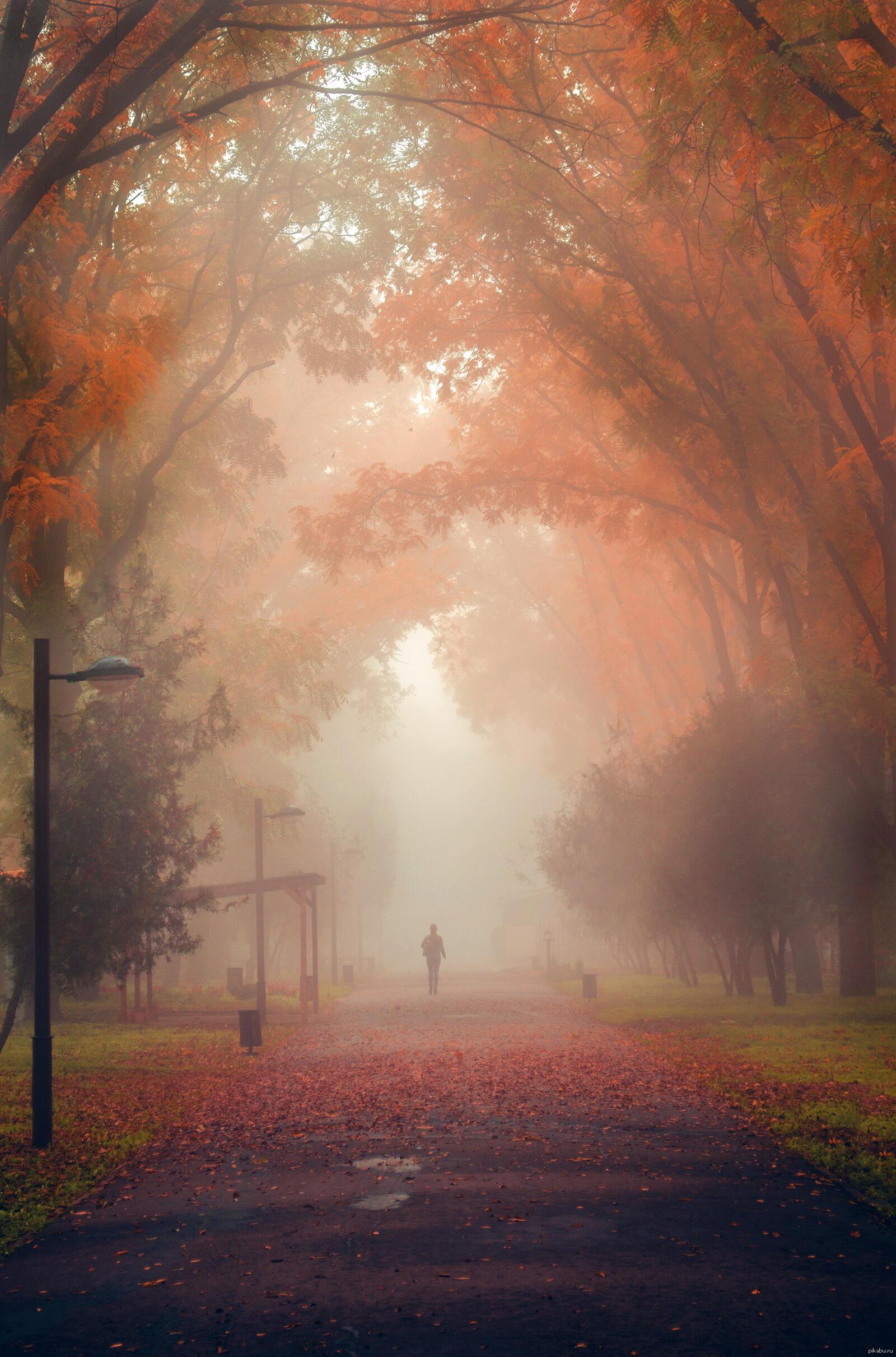 "Несравнима" (02.11.2021)