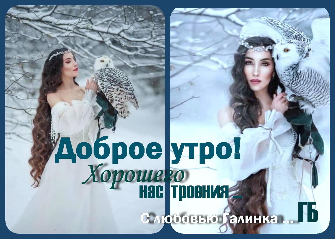 Колдунья белых снов не вечна - Галинка Багрецова