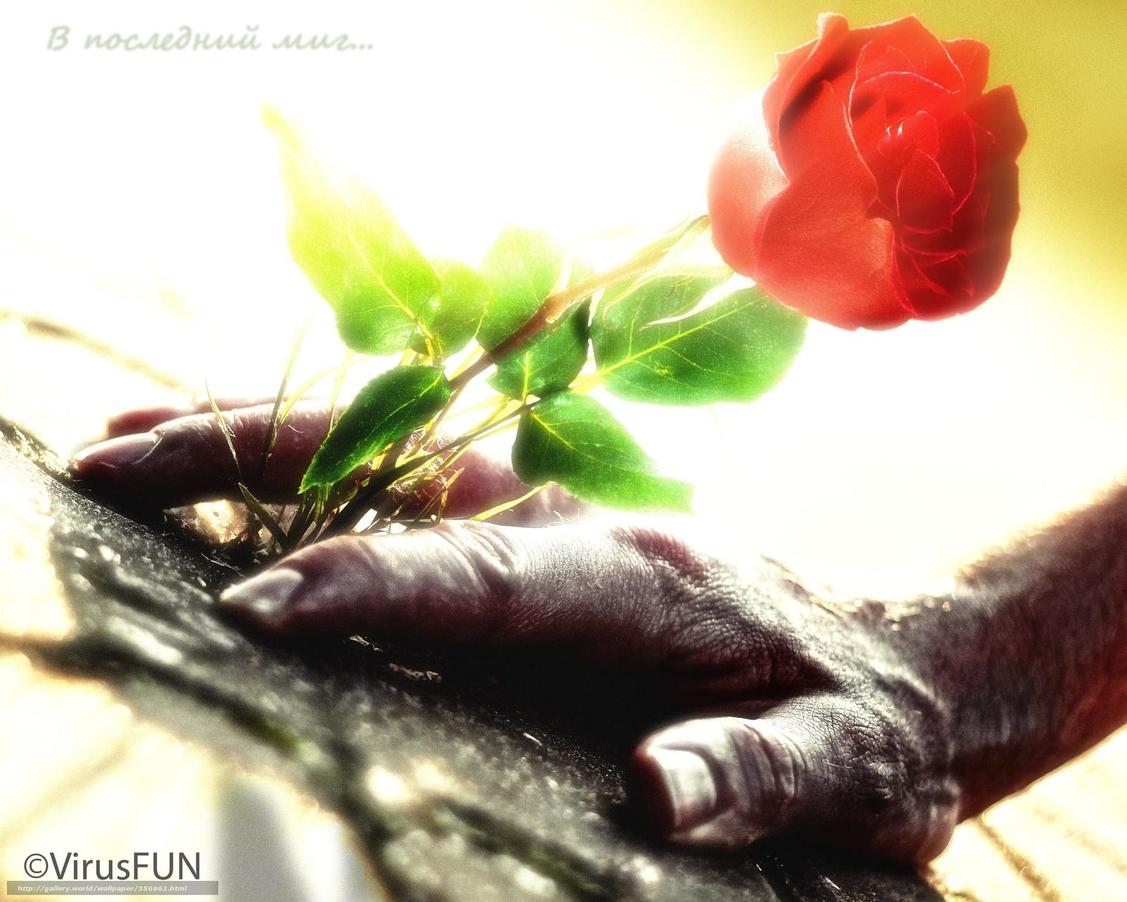 Неполноценная игра.(подарок для В.О.).