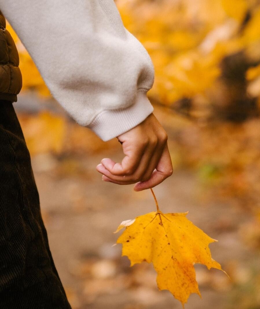 Первое сентября