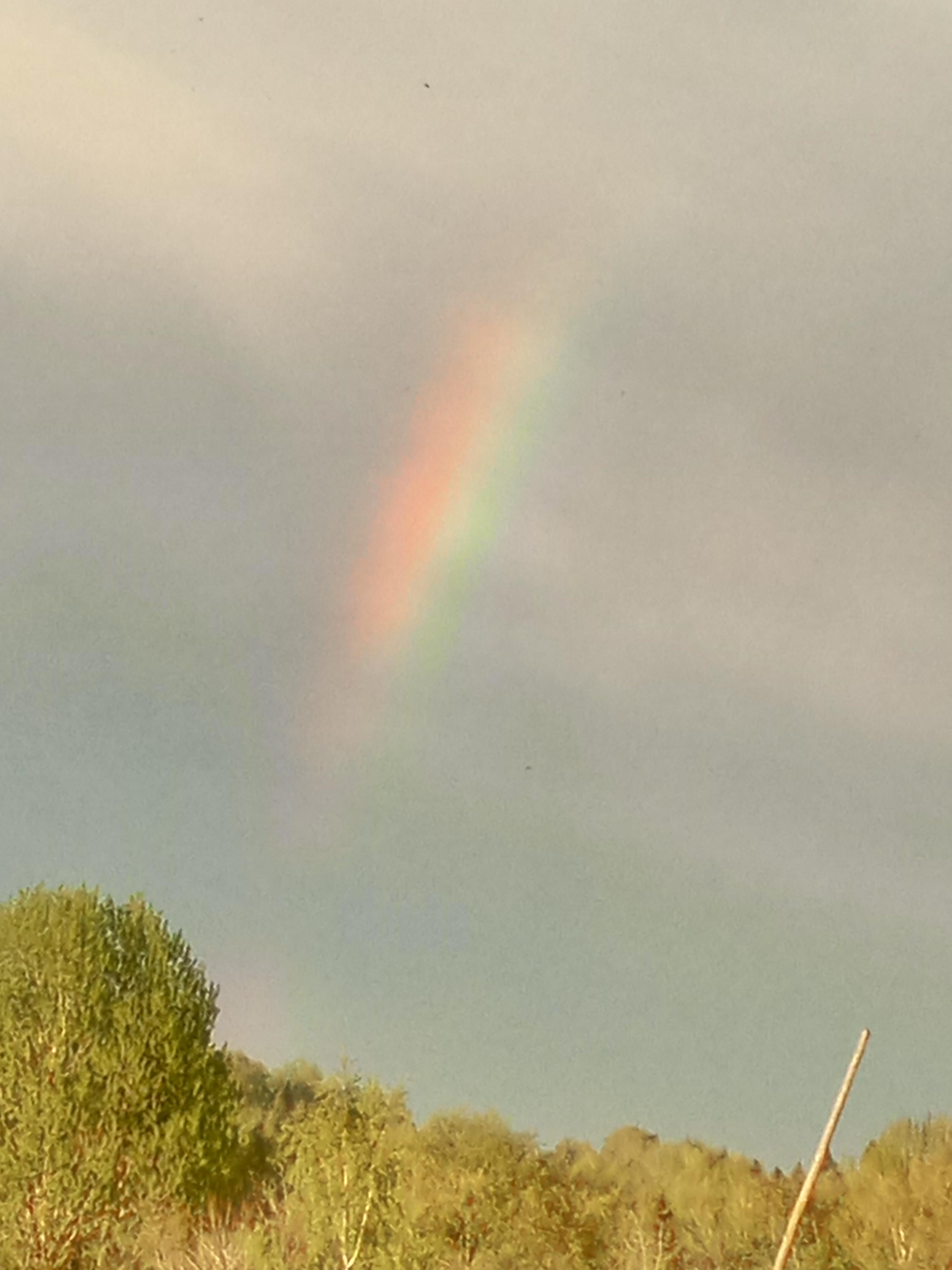 Абхазские коты... Поэт - Ева. (+Suno, Родионов Иван)