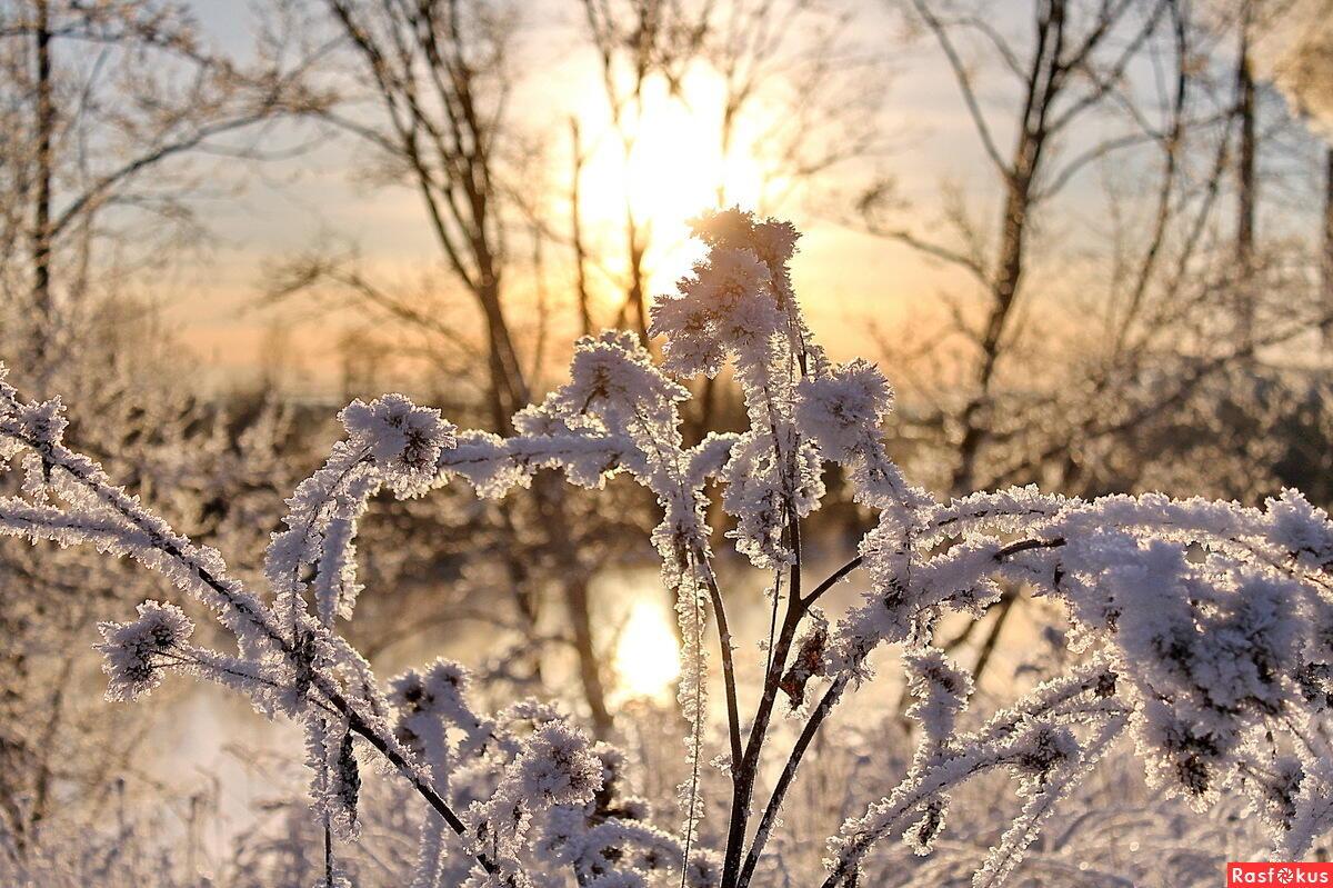 НАСТАЛО ВРЕМЯ СМЕНЫ ЧАСОВОГО