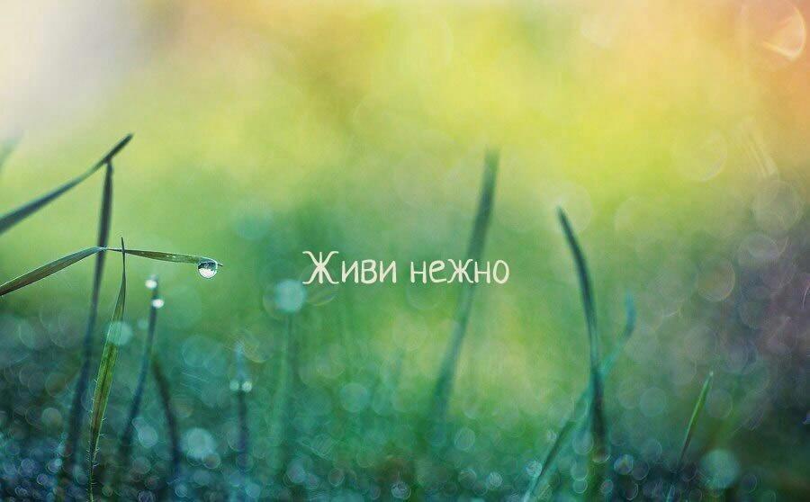 "Живите нежно" (17.08.2023)