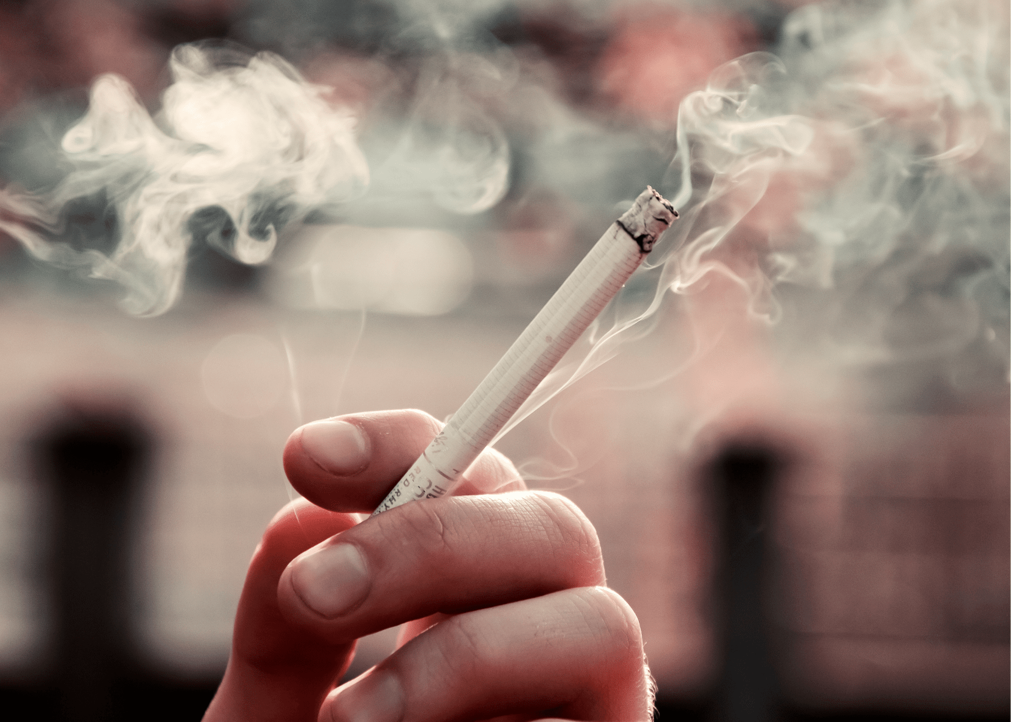 Ответ поэту - Медведь Белый - НЕ ЦЕПЛЯЙТЕСЬ