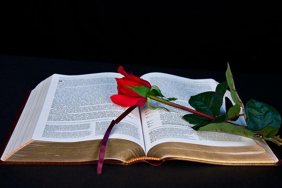 Я розу страстную узрел на Библии полночной!..