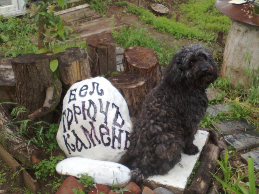 Мы племя плебеев пахавших на Марса...