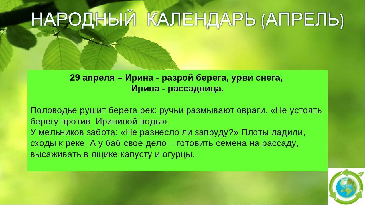 Арина капустница картинки