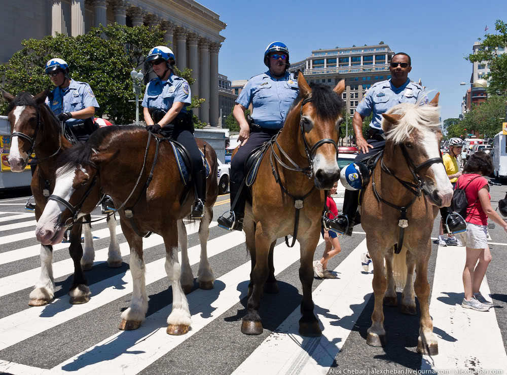 День независимости