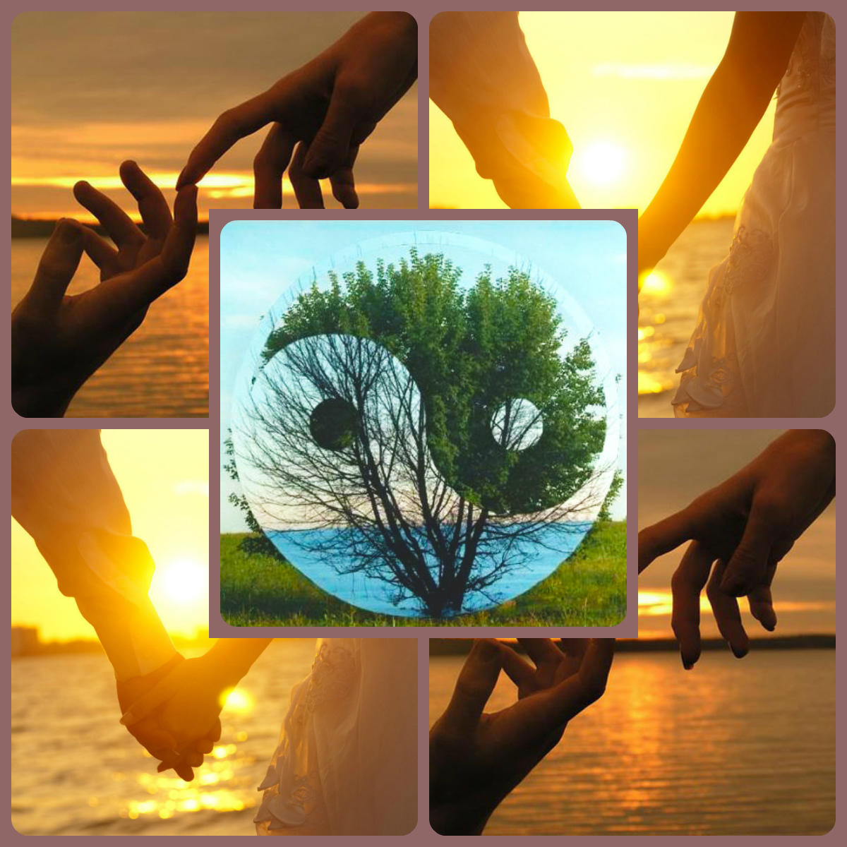 Солнечному свету