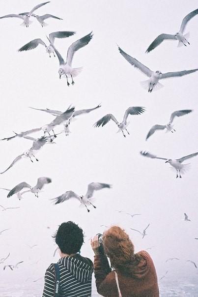 Человек-есть птица