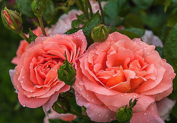 Ты не грусти!